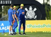 米兰体育官方网站-关于南美球员因伤缺席下一场比赛的信息