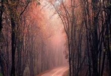 米兰体育app入口-波尔多客场狂飙突进！激情之夜点燃胜利火焰，全队沸腾庆贺