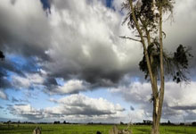 米兰体育入口-鹿岛鹿角主场气氛火爆，球迷助威成强大后盾