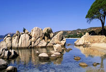 米兰体育官方网站-钢铁玫瑰绽放季！沈阳女足冠军杯的硬核破圈密码